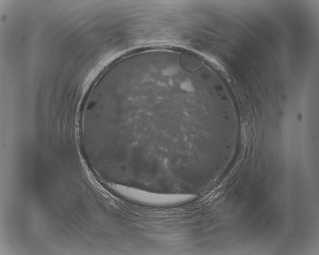 X0000056001279200509021654