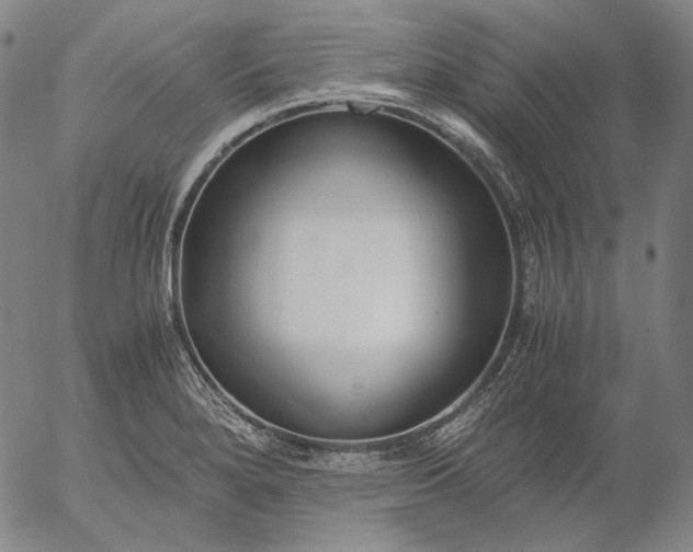 X0000056001280200509021654