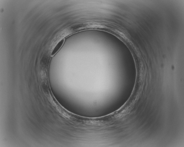 X0000056001281200509021654