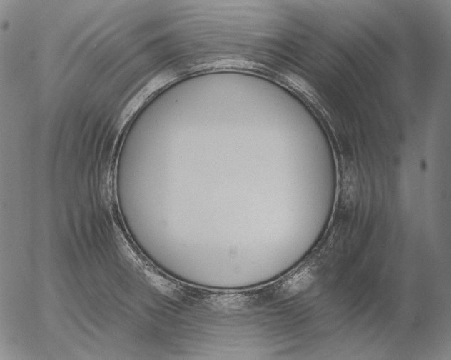 X0000056001282200509021654