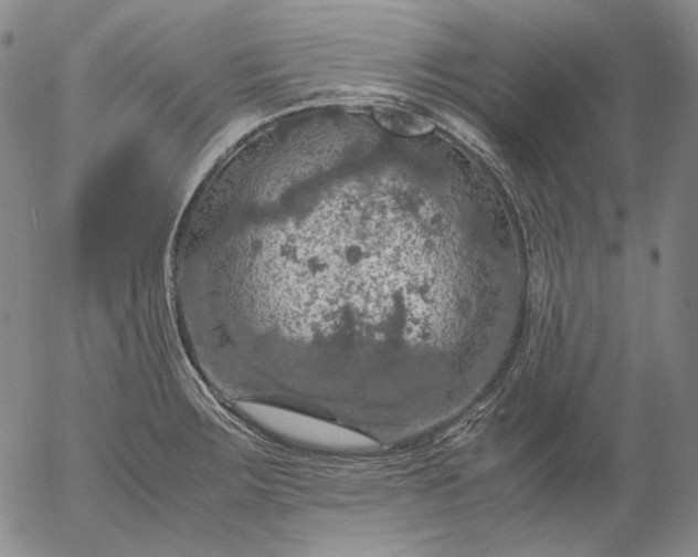 X0000056001283200509021654