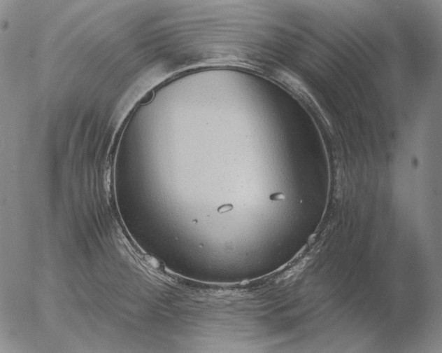 X0000056001284200509021654