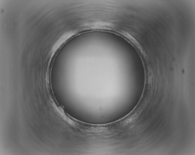 X0000056001285200509021654