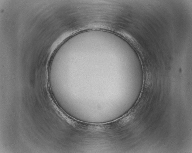 X0000056001286200509021654