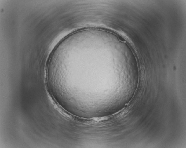 X0000056001287200509021654