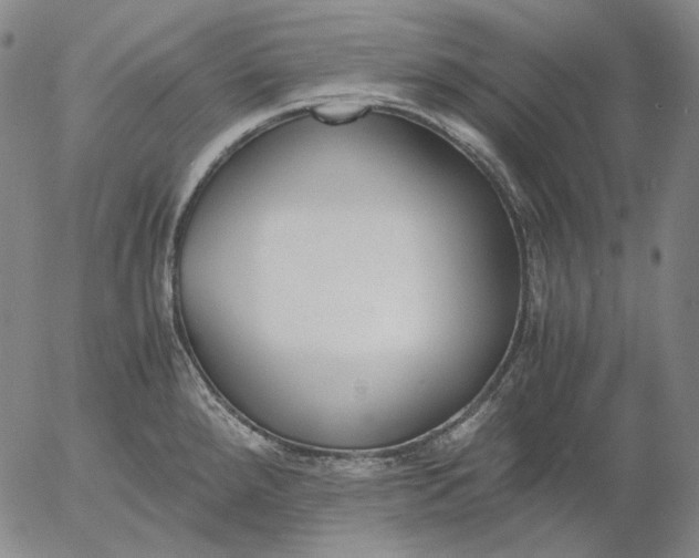 X0000056001288200509021654