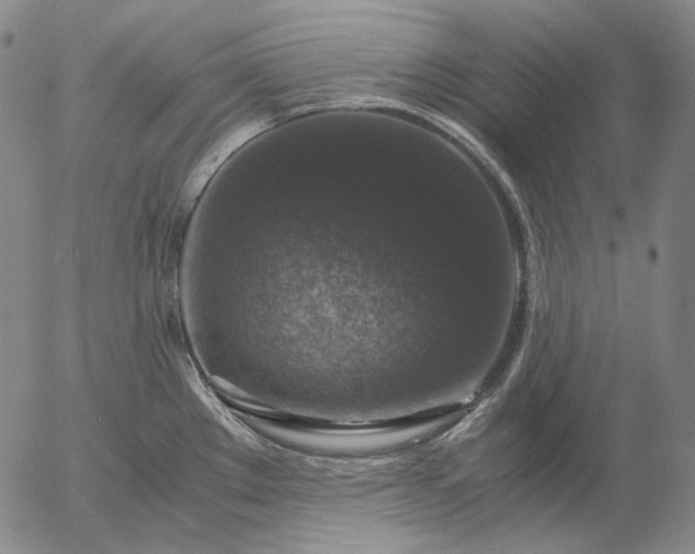 X0000056001289200509021654