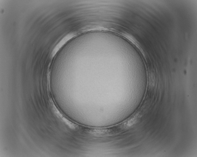 X0000056001290200509021654