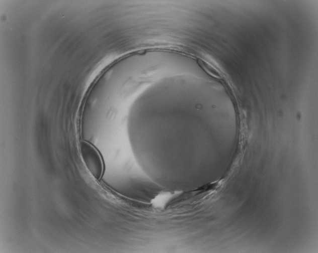 X0000056001291200509021654