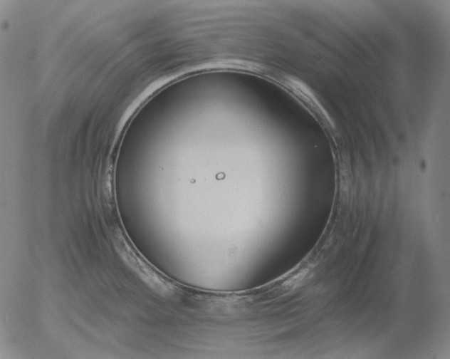 X0000056001292200509021654