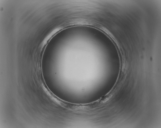 X0000056001293200509021654