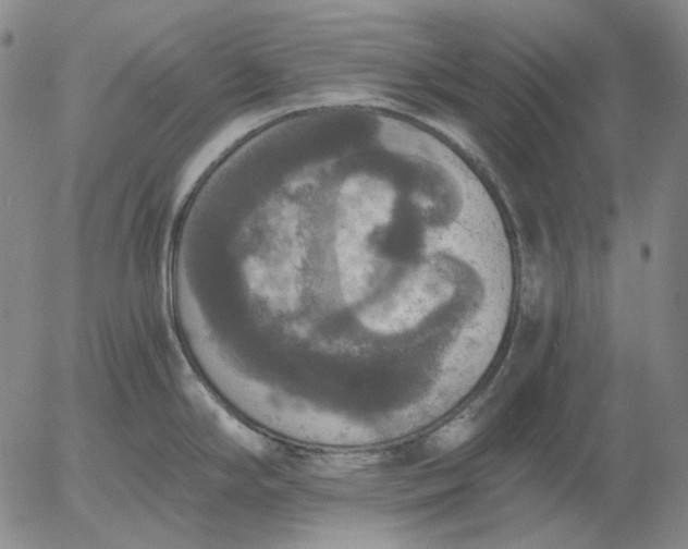 X0000056001294200509021654