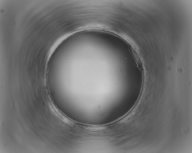 X0000056001296200509021654