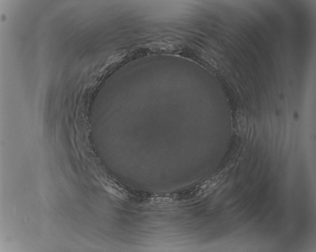 X0000056001297200509021653