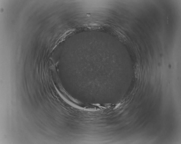 X0000056001298200509021653