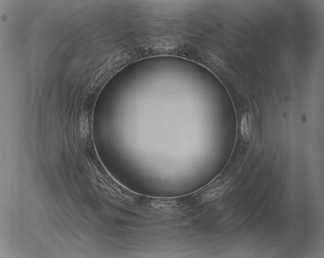 X0000056001299200509021653