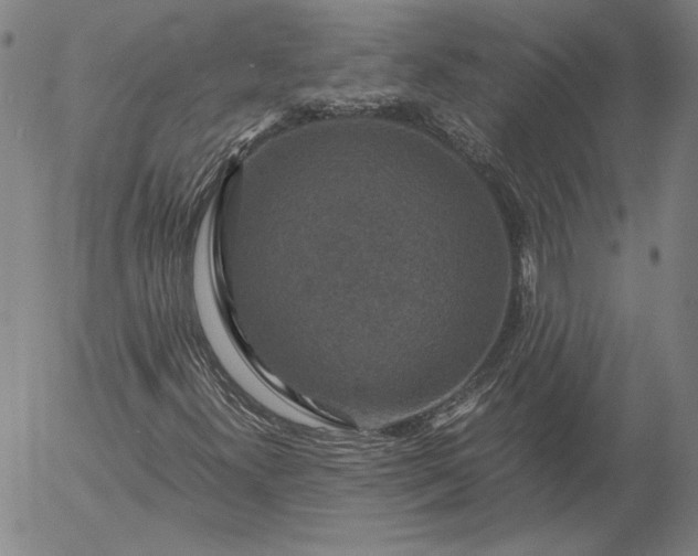 X0000056001300200509021653