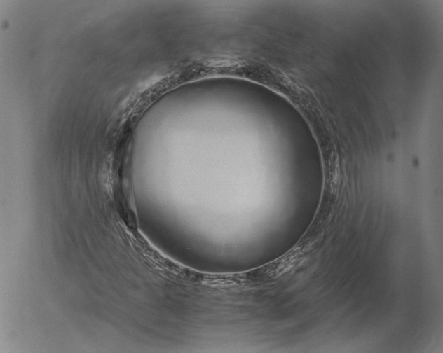 X0000056001301200509021653