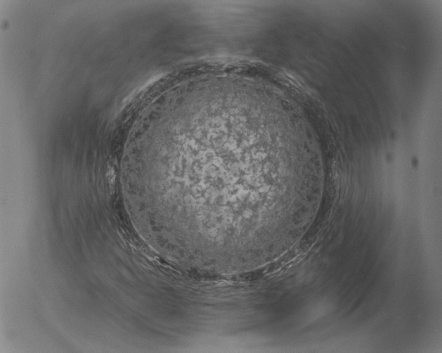 X0000056001302200509021653