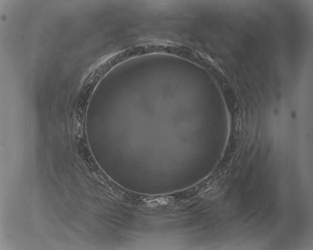 X0000056001303200509021653