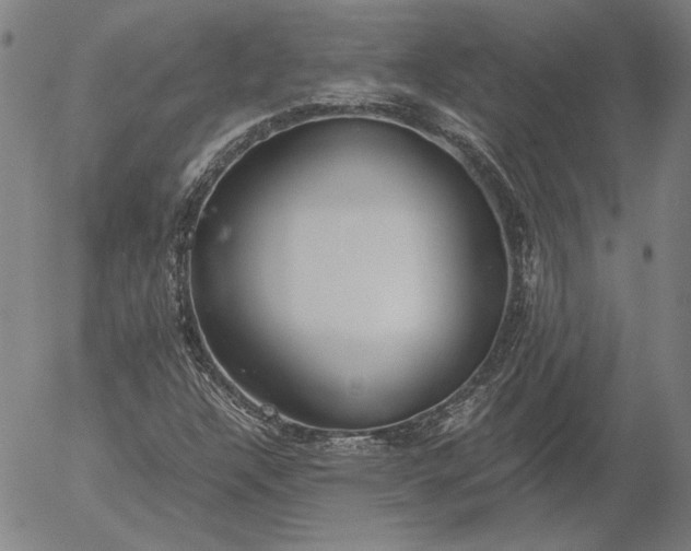 X0000056001304200509021653