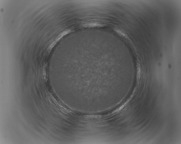 X0000056001305200509021653