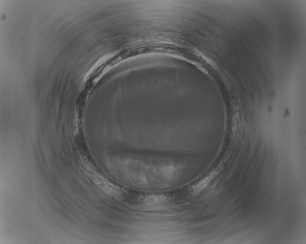 X0000056001306200509021653