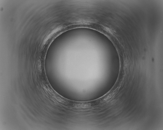 X0000056001307200509021654