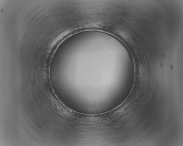 X0000056001308200509021654