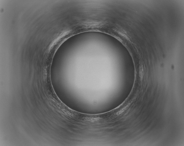 X0000056001309200509021654