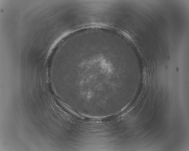 X0000056001310200509021654