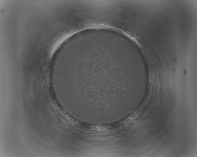 X0000056001311200509021654