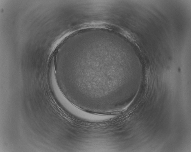 X0000056001312200509021654