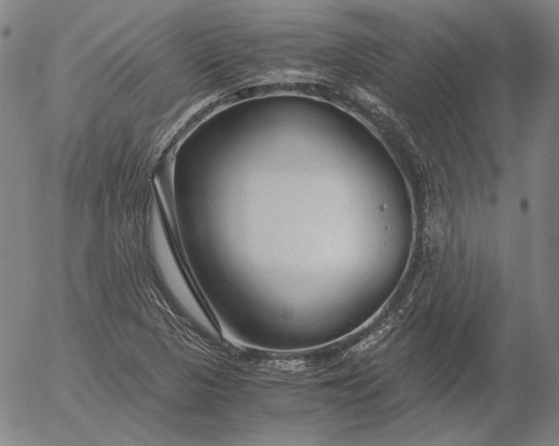 X0000056001313200509021654