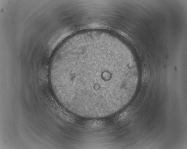 X0000056001314200509021654