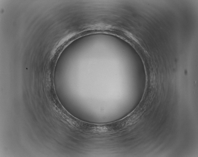 X0000056001315200509021654