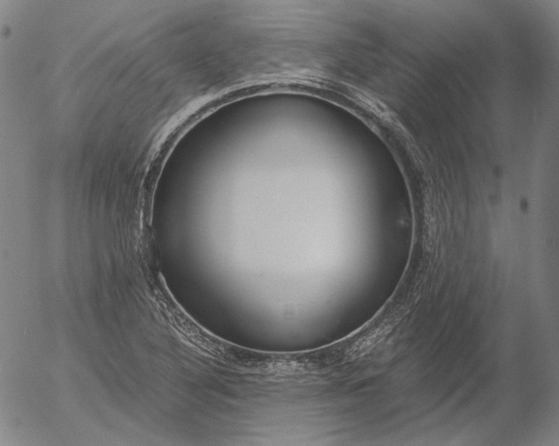 X0000056001316200509021654