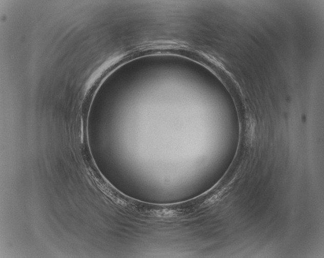 X0000056001317200509021654