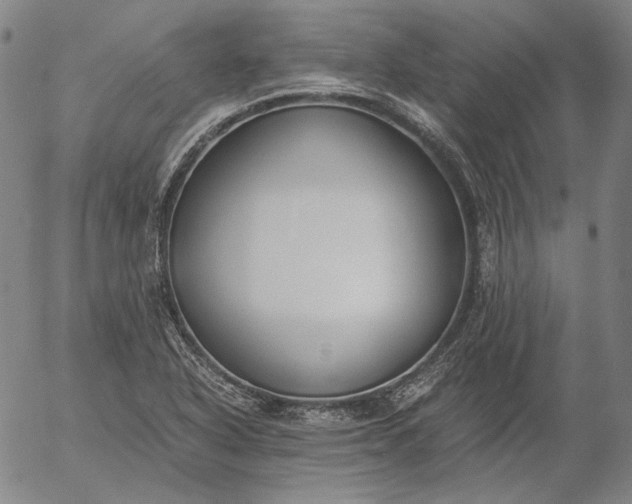 X0000056001318200509021654