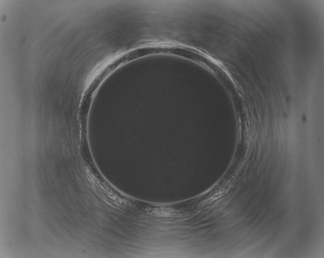 X0000056001319200509021654