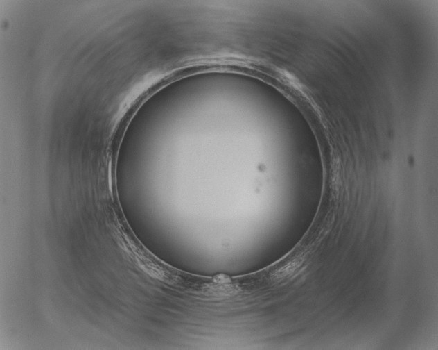 X0000056001320200509021654