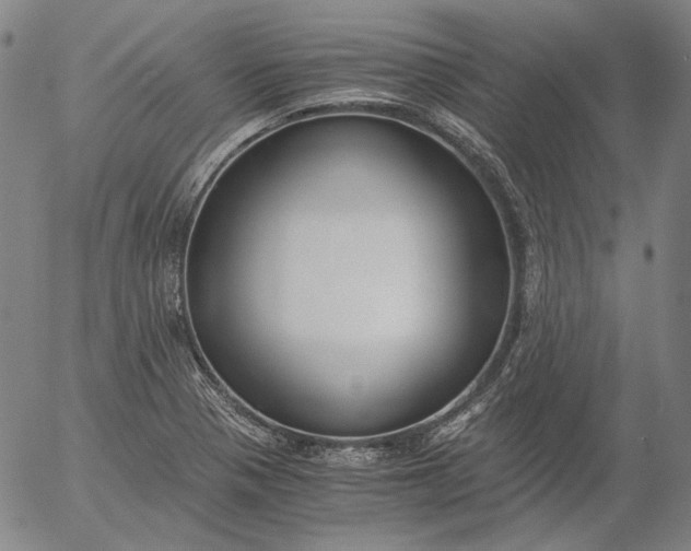 X0000056001321200509021654