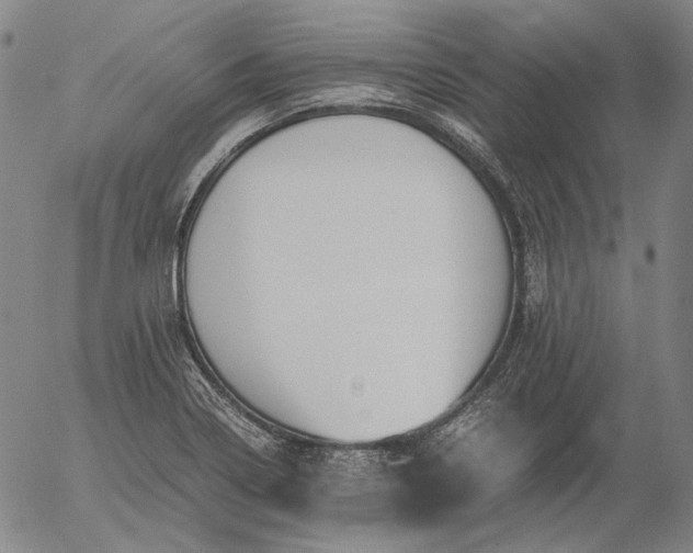 X0000056001322200509021654