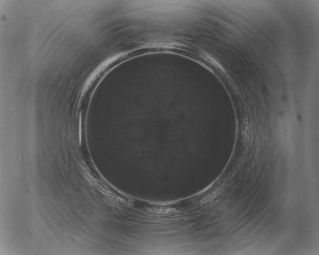 X0000056001323200509021654