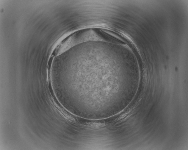 X0000056001324200509021654