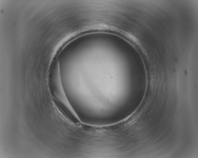 X0000056001326200509021654