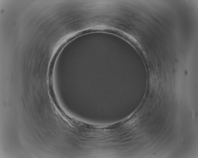 X0000056001327200509021654