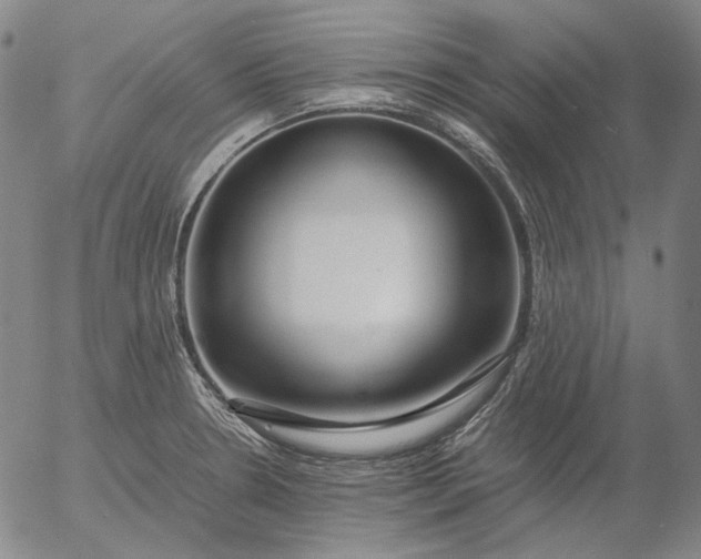 X0000056001330200509021654