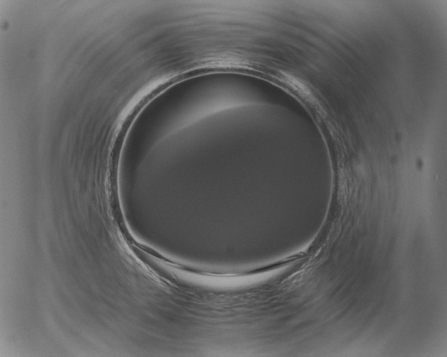 X0000056001331200509021654