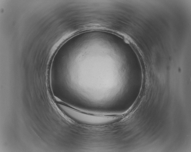 X0000056001333200509021654